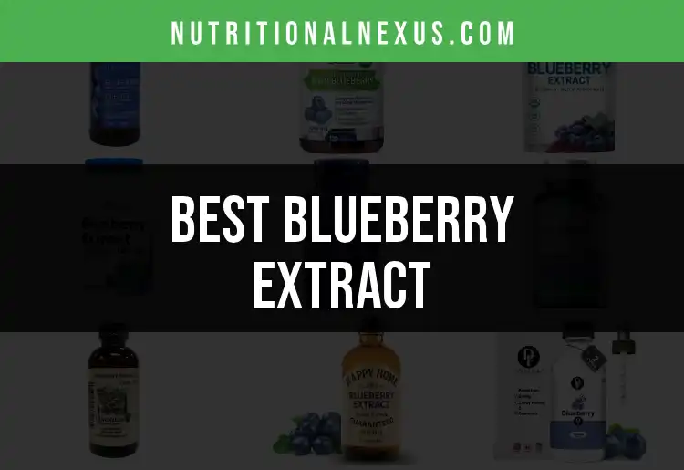 11 Top Blueberry Extract Supplements for Wellness featured