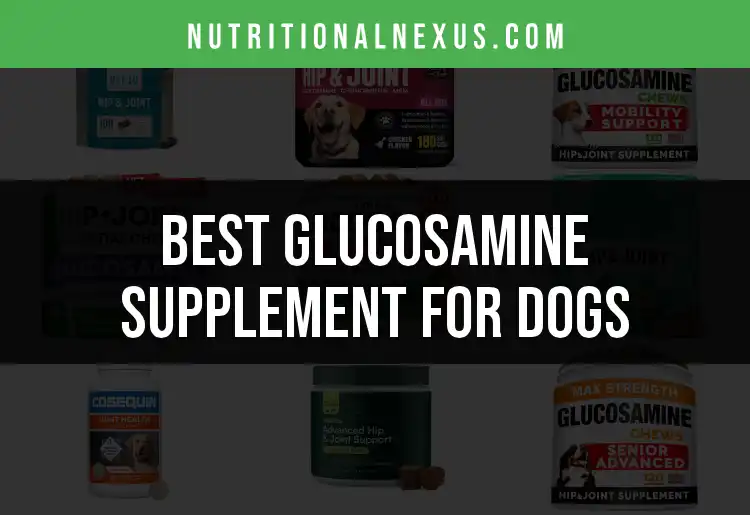 A closer look at Glucosamine For Grain Free Rough Coat Dogs