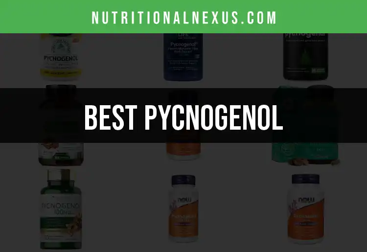 11 Pycnogenol Supplements for Optimal Health featured