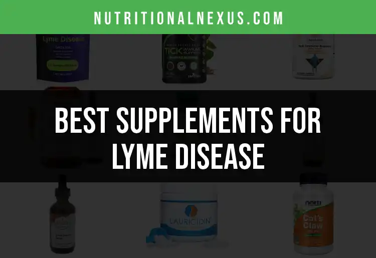 12 Supplements for Lyme Disease You Need to Know