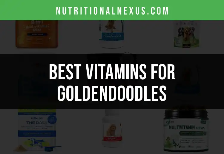 14 Essential Vitamins for Goldendoodles Best Picks featured